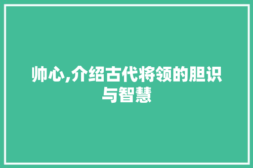 帅心,介绍古代将领的胆识与智慧