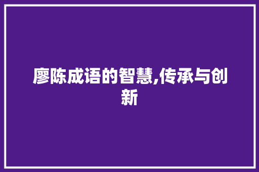 廖陈成语的智慧,传承与创新