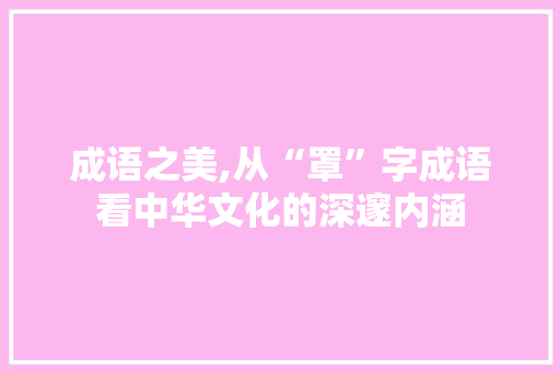 成语之美,从“罩”字成语看中华文化的深邃内涵 社交媒体