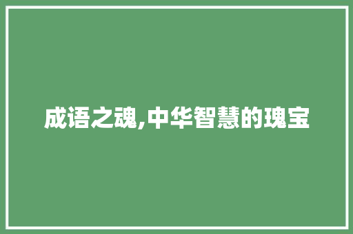 成语之魂,中华智慧的瑰宝