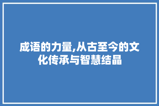 成语的力量,从古至今的文化传承与智慧结晶