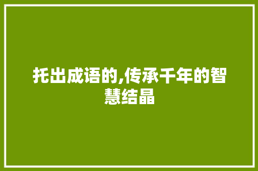 托出成语的,传承千年的智慧结晶