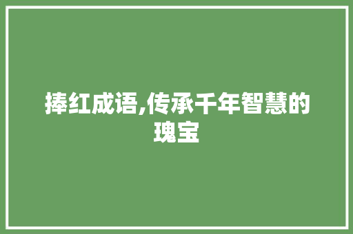 捧红成语,传承千年智慧的瑰宝