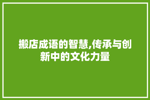 搬店成语的智慧,传承与创新中的文化力量
