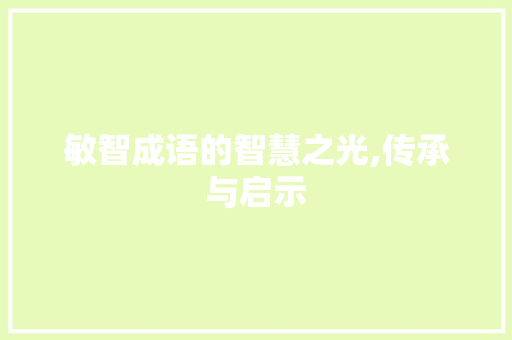 敏智成语的智慧之光,传承与启示