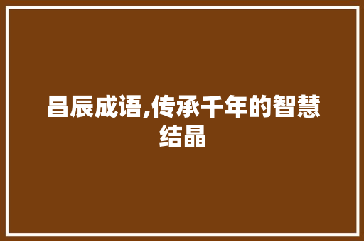 昌辰成语,传承千年的智慧结晶