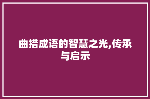 曲措成语的智慧之光,传承与启示
