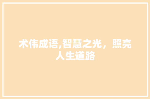 术伟成语,智慧之光，照亮人生道路