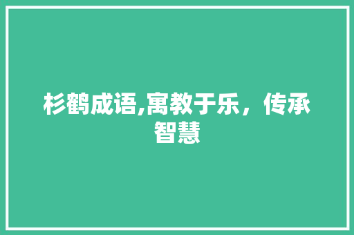 杉鹤成语,寓教于乐，传承智慧