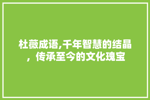 杜薇成语,千年智慧的结晶，传承至今的文化瑰宝