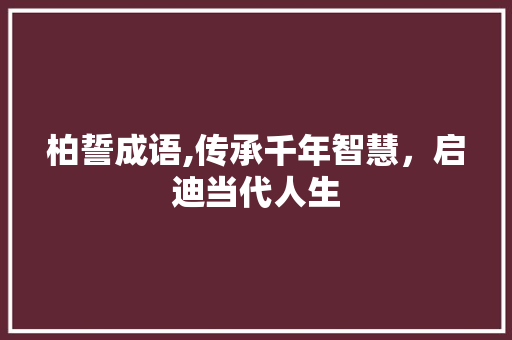柏誓成语,传承千年智慧，启迪当代人生