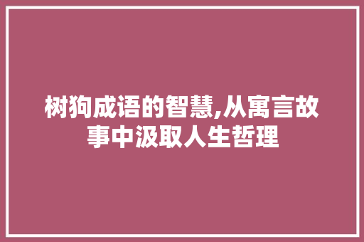 树狗成语的智慧,从寓言故事中汲取人生哲理 项目报告