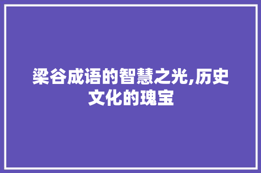 梁谷成语的智慧之光,历史文化的瑰宝