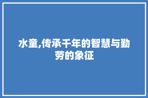 水童,传承千年的智慧与勤劳的象征