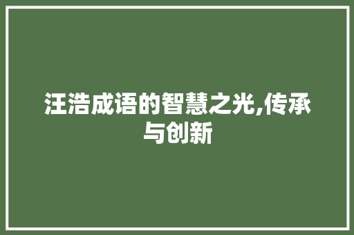 汪浩成语的智慧之光,传承与创新