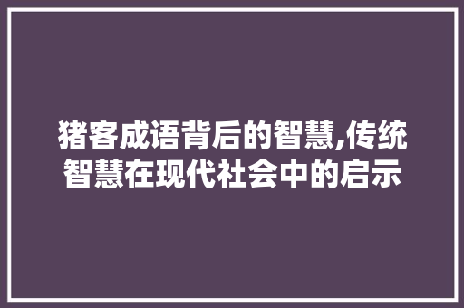猪客成语背后的智慧,传统智慧在现代社会中的启示 应用文