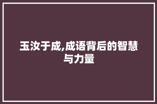 玉汝于成,成语背后的智慧与力量
