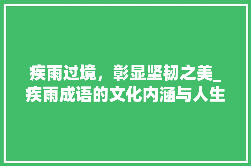 疾雨过境，彰显坚韧之美_疾雨成语的文化内涵与人生哲理