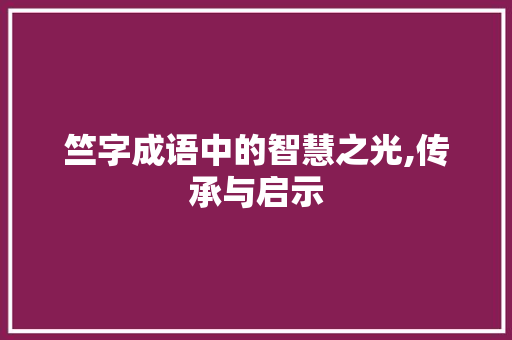 竺字成语中的智慧之光,传承与启示