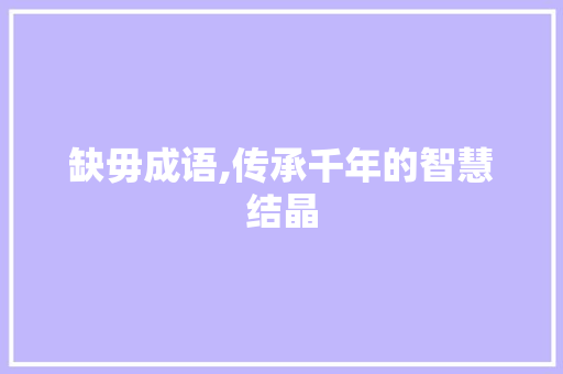 缺毋成语,传承千年的智慧结晶 工作总结
