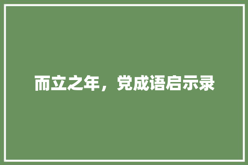 而立之年，党成语启示录