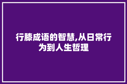 行膝成语的智慧,从日常行为到人生哲理 工作总结