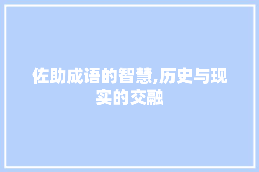 佐助成语的智慧,历史与现实的交融