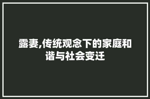 露妻,传统观念下的家庭和谐与社会变迁 工作总结