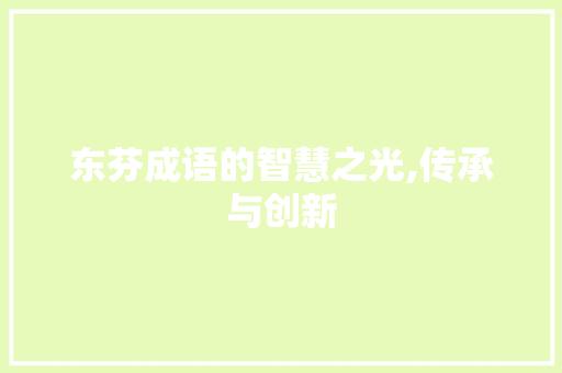 东芬成语的智慧之光,传承与创新