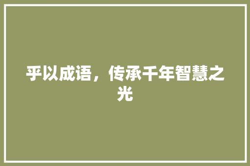 乎以成语，传承千年智慧之光