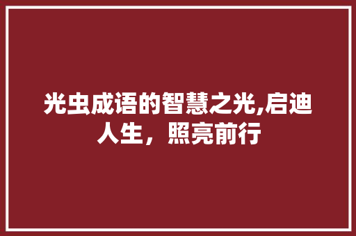 光虫成语的智慧之光,启迪人生，照亮前行
