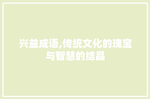 兴益成语,传统文化的瑰宝与智慧的结晶 项目报告