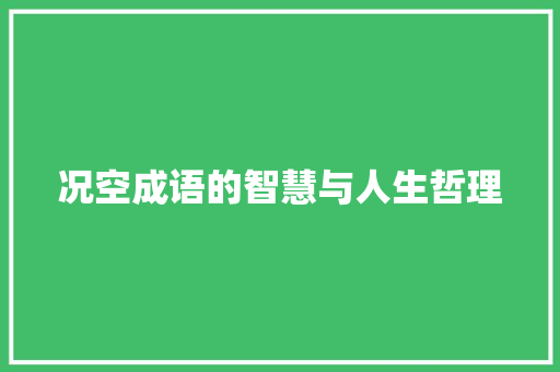 况空成语的智慧与人生哲理 会议纪要