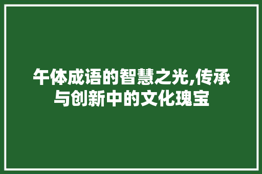 午体成语的智慧之光,传承与创新中的文化瑰宝