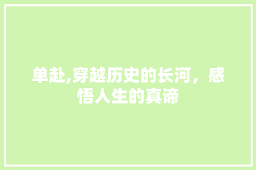 单赴,穿越历史的长河，感悟人生的真谛 职场写作