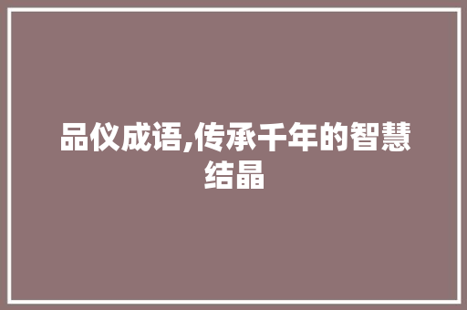 品仪成语,传承千年的智慧结晶