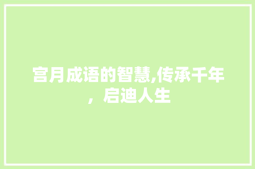 宫月成语的智慧,传承千年，启迪人生 项目报告
