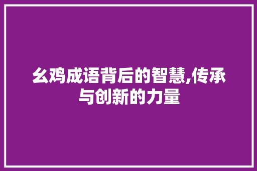 幺鸡成语背后的智慧,传承与创新的力量