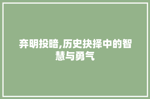 弃明投暗,历史抉择中的智慧与勇气