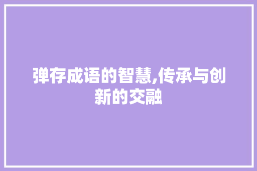 弹存成语的智慧,传承与创新的交融