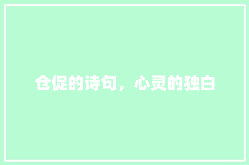 仓促的诗句，心灵的独白