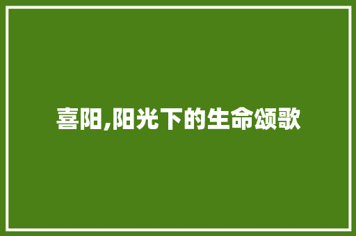喜阳,阳光下的生命颂歌 诗词应用