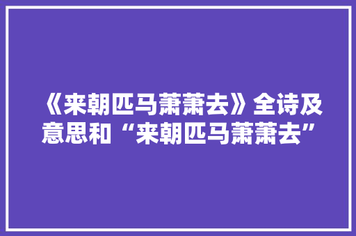 《来朝匹马萧萧去》全诗及意思和“来朝匹马萧萧去”的拼音注释 诗词鉴赏