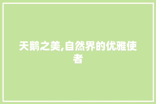 天鹅之美,自然界的优雅使者