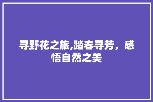 寻野花之旅,踏春寻芳，感悟自然之美 诗词应用