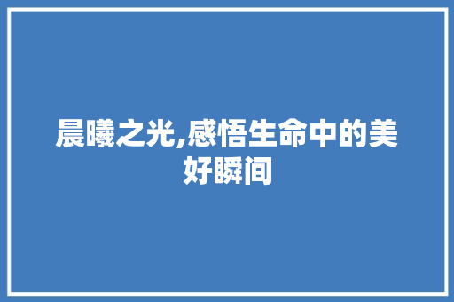 晨曦之光,感悟生命中的美好瞬间 会议纪要