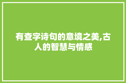 有查字诗句的意境之美,古人的智慧与情感