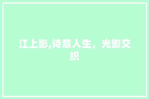 江上影,诗意人生，光影交织 项目报告
