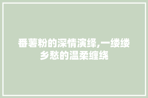 番薯粉的深情演绎,一缕缕乡愁的温柔缠绕