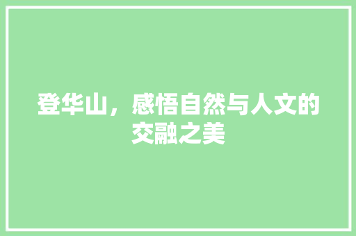 登华山，感悟自然与人文的交融之美